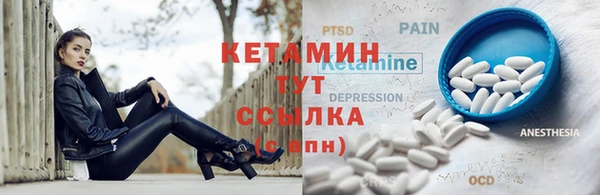 mdpv Заводоуковск