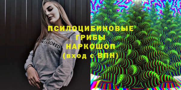apvp Заволжск