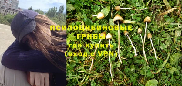 apvp Заволжск