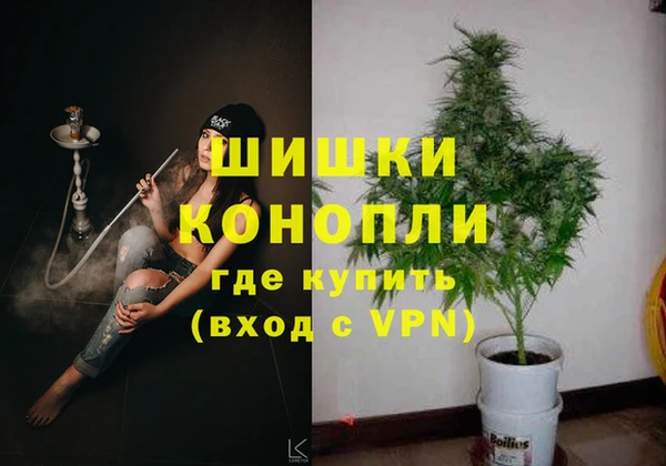 mdpv Заводоуковск